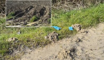 İstanbul’da vahşet! Kayıp Çinli iş insanı toprağa gömülü bulundu