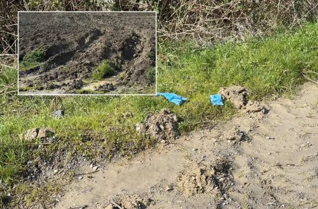 İstanbul’da vahşet! Kayıp Çinli iş insanı toprağa gömülü bulundu