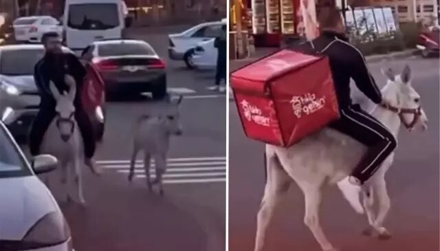 İzmirli kuryeden trafikte akılalmaz hamle, ehliyeti elden gidince eşeği kullandı