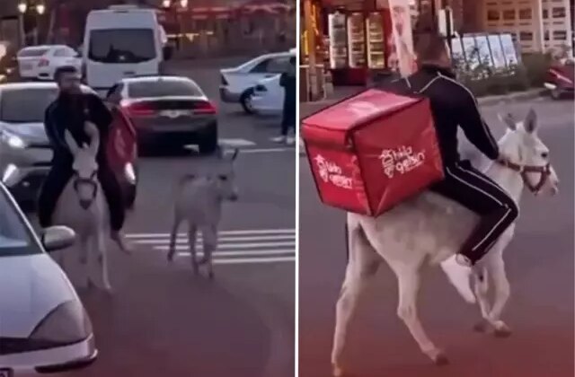 İzmirli kuryeden trafikte akılalmaz hamle, ehliyeti elden gidince eşeği kullandı