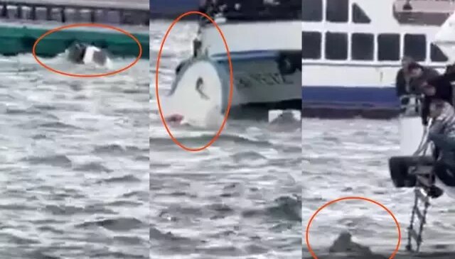 Karaköy’de vapur tekneye çarptı,  denize düşen kişi halatla kurtarıldı