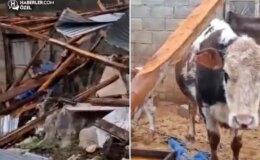 Kenti hortum vurdu! Besici ve üreticilerin kaybı büyük