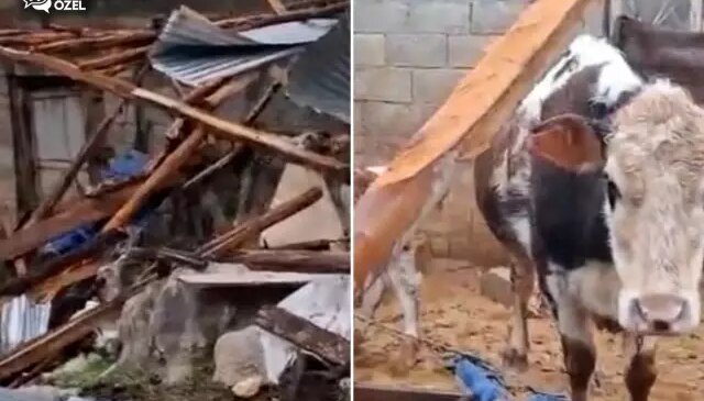 Kenti hortum vurdu! Besici ve üreticilerin kaybı büyük