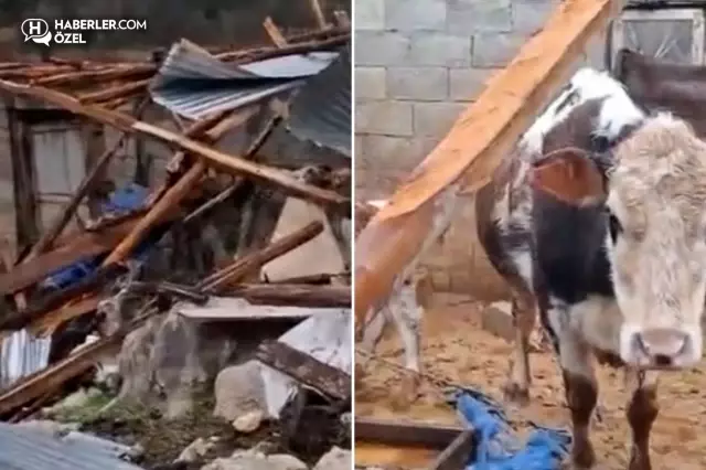 kenti hortum vurdu besici ve ureticilerin kaybi 19563829 1034 o