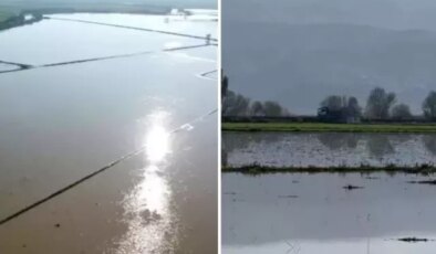 Büyük Menderes Nehri’nde taştı, 2 bin dönüm tarım arazisi sular altında kaldı