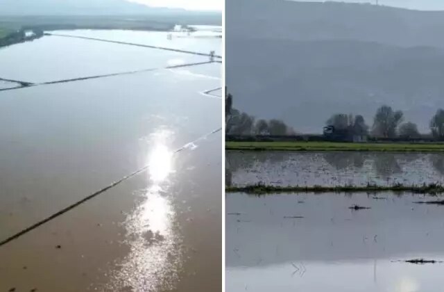 Büyük Menderes Nehri’nde taştı, 2 bin dönüm tarım arazisi sular altında kaldı