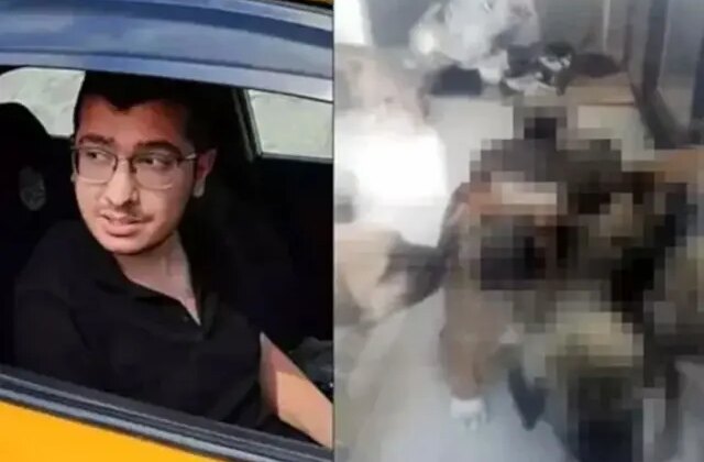 Köpeklere yaptıkları kan dondurmuştu! Sapık doktorun cezası 9 yıldan 4 yıla düşürüldü