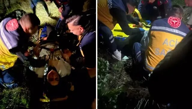 Korkunç olay! 50 metreden düştü, takıldığı ağaçlar hayatını kurtardı