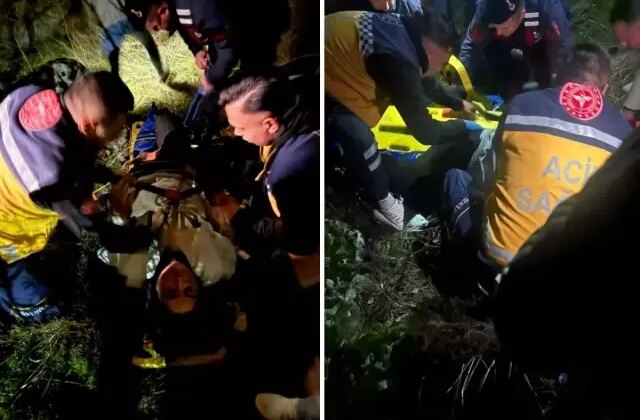 Korkunç olay! 50 metreden düştü, takıldığı ağaçlar hayatını kurtardı