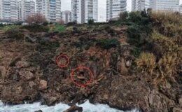 Akılalmaz ama gerçek! Koruma altındaki falezleri işgal ettiler