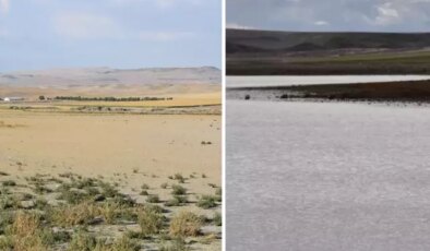 Kuruyan göl 4 yıl aradan sonra su tutmaya başladı