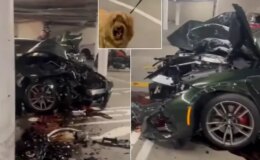 Lüks aracı otoparkta pert etti, köpek bile neye uğradığını şaşırdı