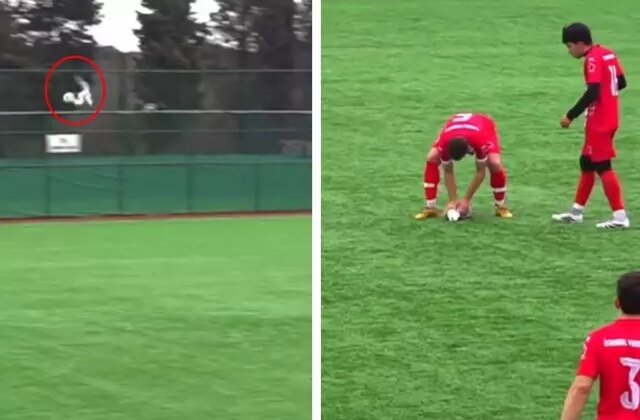 Maç sırasında top çarpan martıdan acı haber