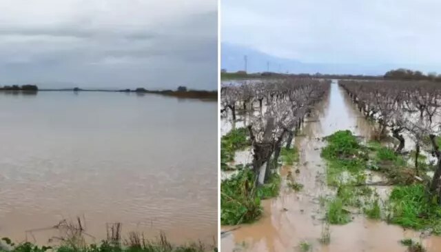 Manisa’da büyük panik! Çay taştı, kritik köprü su altında kaldı