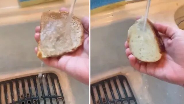 Marketten alınan ekmeği suya tuttu! Çıkan sonuç tüyler ürpertici