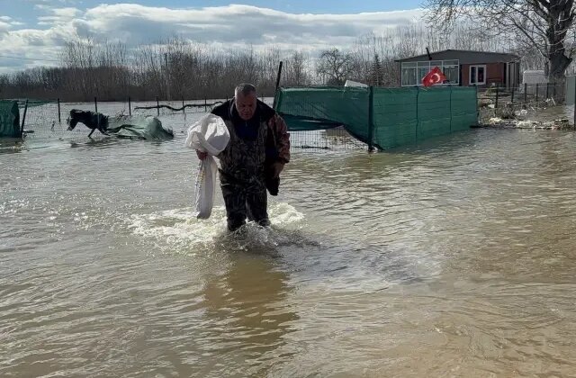 Meriç Nehri taştı, çuvalını kapan tarlada sazan topladı