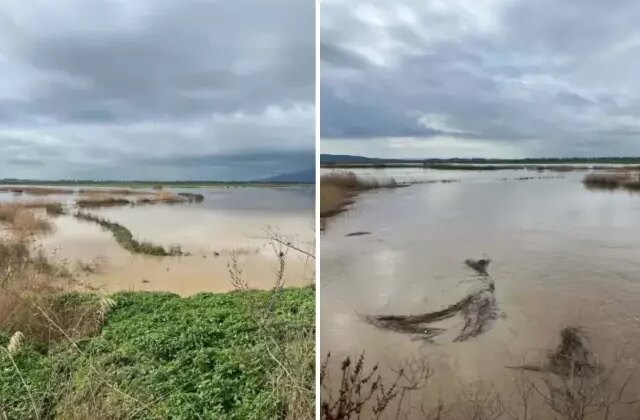 Nehir taştı, tarımın kritik ovasını su bastı