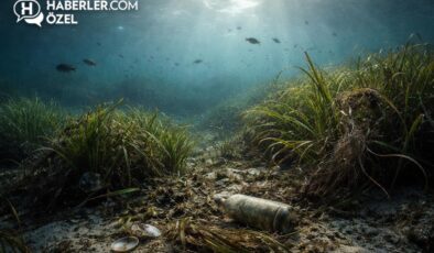 Nesli tükenmeye başladı! Etkisi sandığımızdan büyük
