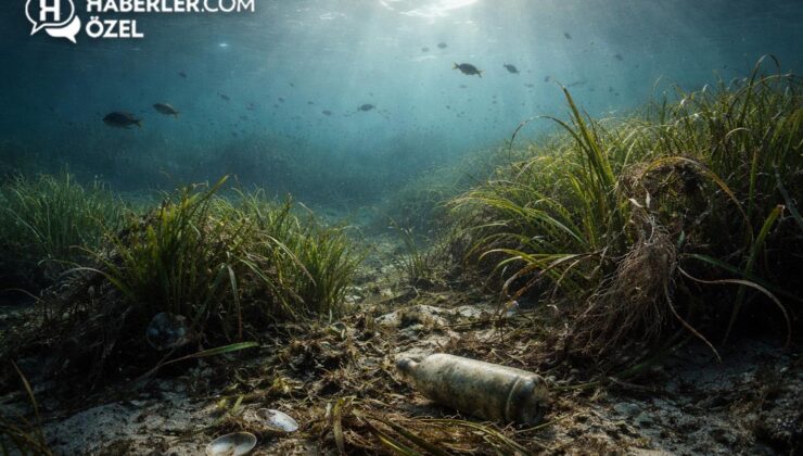 Nesli tükenmeye başladı! Etkisi sandığımızdan büyük