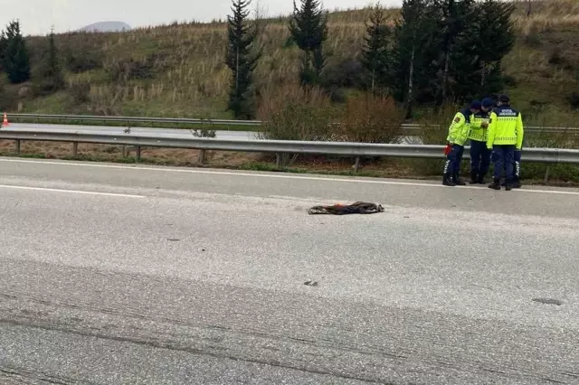 osmaniye de otoyolda temizlik yaparken otomobilin 19563154 2062 o