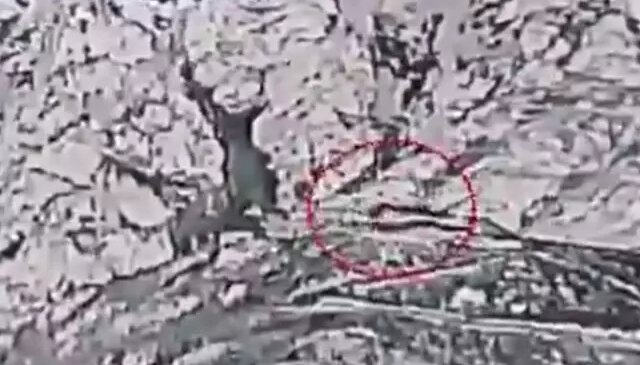 Pakistan ordusunun Afganistan’a yağdırdığı bombalar havadan görüntülendi