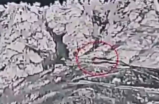 Pakistan ordusunun Afganistan’a yağdırdığı bombalar havadan görüntülendi