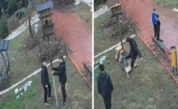 Parktaki kuş yuvasına zarar veren çocuklara ev hapsi