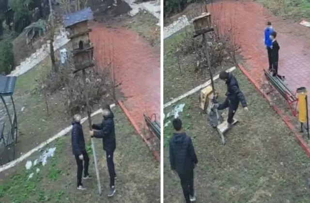 Parktaki kuş yuvasına zarar veren çocuklara ev hapsi