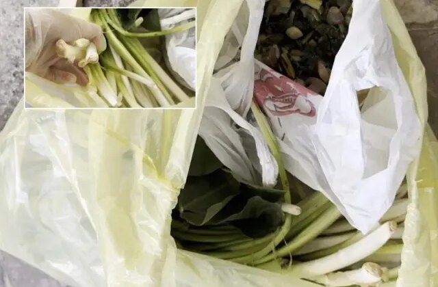 Pazardan aldı, zehir çıktı! Ağzına bir lokma alan doktor fenalaştı