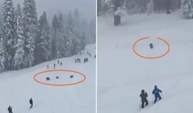 Pistte panik anları: Kayakçıların arasından üç ayı geçti