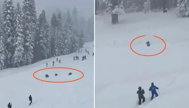 Pistte panik anları: Kayakçıların arasından üç ayı geçti