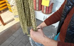 Ne pide ne de hurma! Ramazan’ın gözdesi tezgahlarda