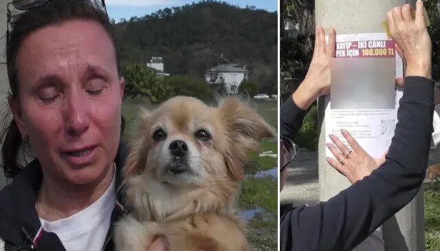 Ruslar karış karış her yerde onları arıyor! Bulana 100 bin TL ödül