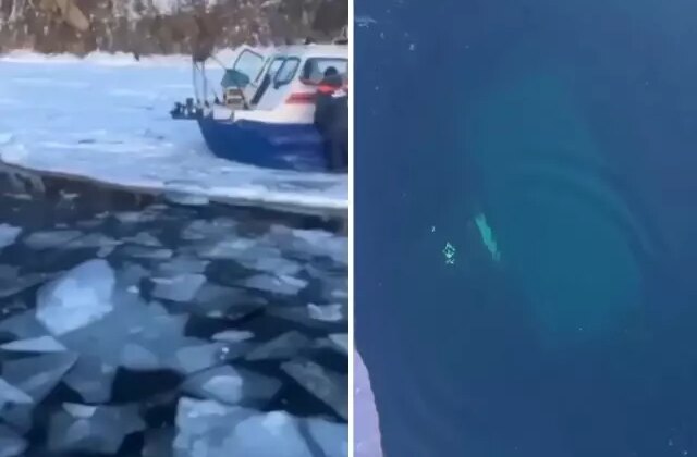 Tur aracı buzun altına düştü! Feci şekilde can verdiler