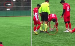 Sahalarda eşi benzeri görülmemiş olay! Top çarpan hayvanı kalp masajıyla hayata döndürdü