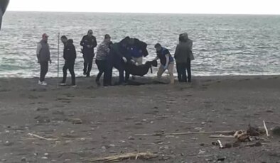 Sahilde kan donduran manzara! Yürürken fark edip telefona sarıldı