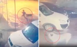 Sahipsiz köpek kabusu! 10 yaşındaki çocuğu dehşeti yaşadı