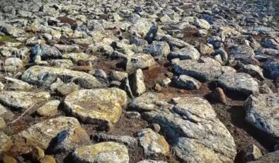 Şanlıurfa’da volkanik bazalt taşlarının altında cephanelik ele geçirildi: 8 gözaltı