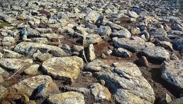 Şanlıurfa’da volkanik bazalt taşlarının altında cephanelik ele geçirildi: 8 gözaltı