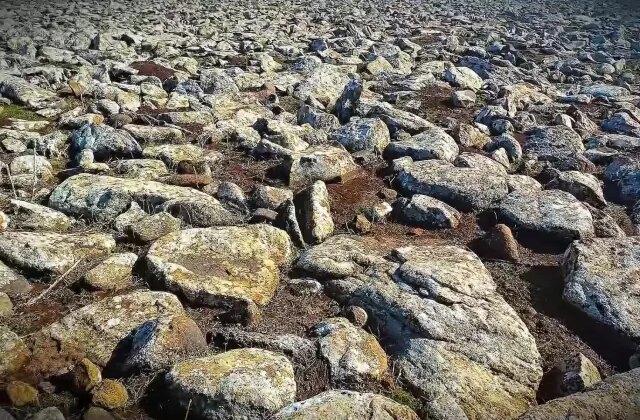 Şanlıurfa’da volkanik bazalt taşlarının altında cephanelik ele geçirildi: 8 gözaltı