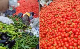 Sapasağlam sebzeleri çöpe attılar