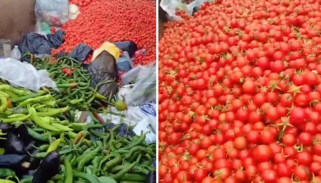 Sapasağlam sebzeleri çöpe attılar