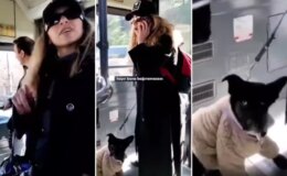 “Savcıyım” deyip terör estiren kadının asıl mesleği bakın ne çıktı