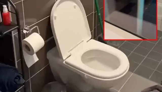 Bu tuvaletin manzarası sosyal medyayı salladı! Bilet kesilse tükenir