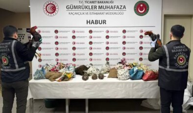 Şırnak’ta 40 adet kanatlı hayvan ele geçirildi