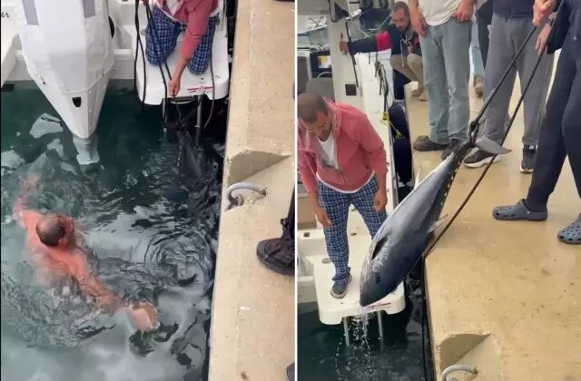 Soğuk engel olmadı, buz gibi suya girip 1.5 metrelik orkinos avladı