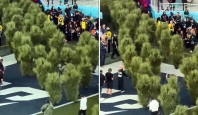 Super Bowl finaline damga vuran görüntü