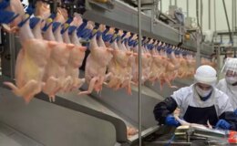 Ramazan öncesi fahiş zam bakanlığı harekete geçirdi! Tavuk ürünlerinin ihracatı durduruldu