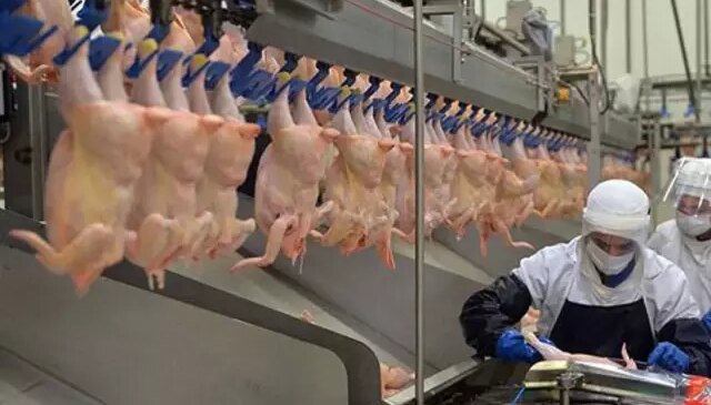 Ramazan öncesi fahiş zam bakanlığı harekete geçirdi! Tavuk ürünlerinin ihracatı durduruldu