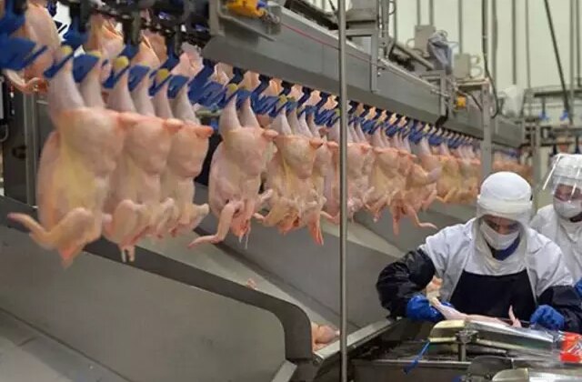 Ramazan öncesi fahiş zam bakanlığı harekete geçirdi! Tavuk ürünlerinin ihracatı durduruldu